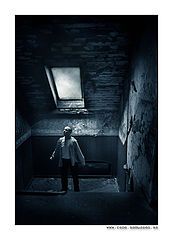 photo "The Old Stairway"