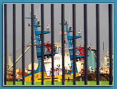 photo "Behind the bars"