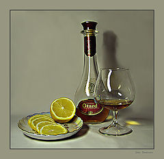 фото "still life-16"