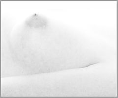 photo "Untitled photo"