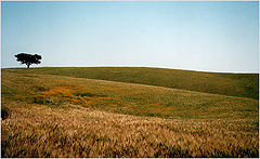 photo ""Alentejo""