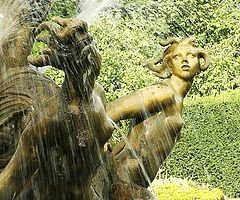 фото "Stone beauty"