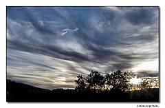 photo "A little piece of sky"