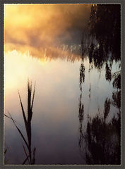 photo "Untitled photo"