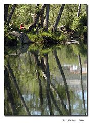 photo "The lady in red"