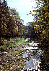 photo "The river Ol`hovka"