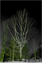 фото "Eclipse"