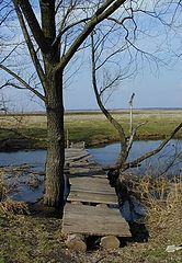 photo "The small bridge"