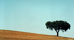 photo ""Alentejo" #2"