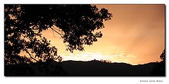 photo "Golden Moments"