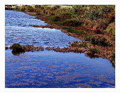 photo "Mother Nature #1"