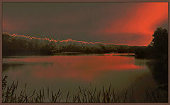 photo "Crimson dye"