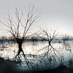 photo "Untitled photo"