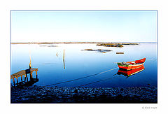 photo "Lonely by the River"
