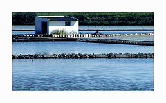 photo "River House"