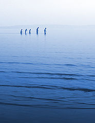 photo "Music of a magic flute..."