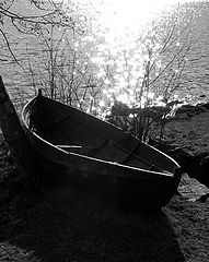 photo "Im home"