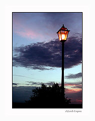 фото "at nightfall"