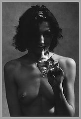 photo "shell"