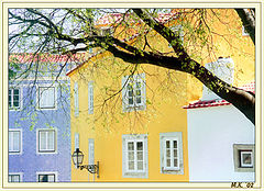фото "Three color"