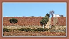 photo "The Farmer`s House"