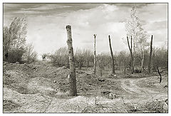 photo "Silent day"