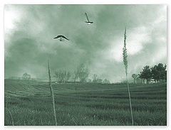 photo "Hallucinations...:"Mood""