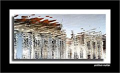 фото "mirror #4"