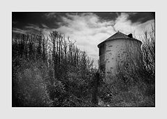 photo "Untitled"