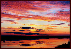 photo "Palette of a nature"