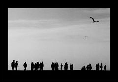 фото "unflying people"