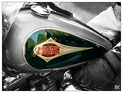 photo "Harley-Davidson"