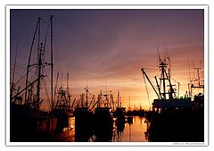photo "Sunset in a harbour - 2"