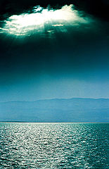 photo "Untitled photo"