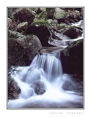 фото "just water"