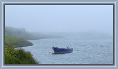 photo "Blue Velvet"