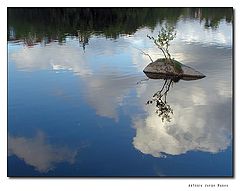 photo "Little Island"