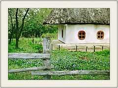 photo "Not city"