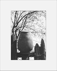 photo "rural still-life"