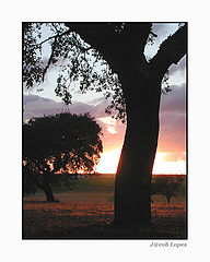 фото "Alentejo`s coulor"