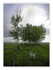 photo "Hallucinations  #4"