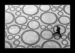 фото "OVNIs run away"