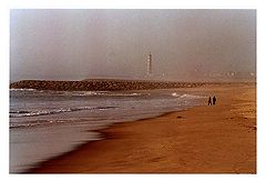 photo "Walking in a foggy day"