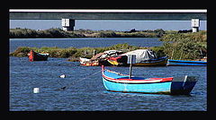 фото "River Boats"