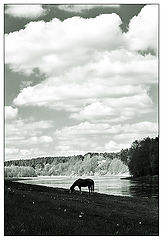 photo "Claudy day near river #2"
