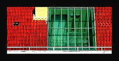 фото "The Indiscrete Window"