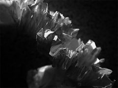 photo "#4"
