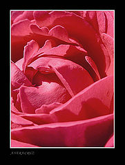 photo "Sensual"