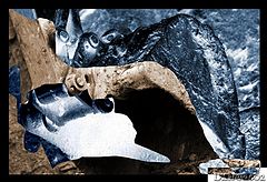 фото "Revolution Industrielle. Complete Madness"