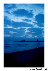 фото "Blue Soul"